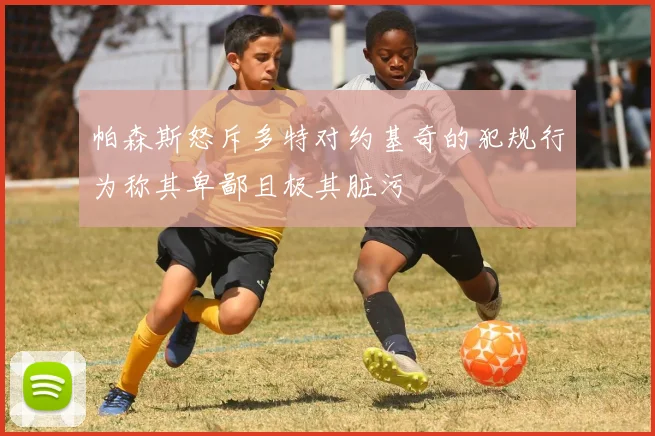 帕森斯怒斥多特对约基奇的犯规行为称其卑鄙且极其脏污