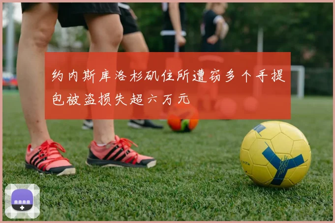 约内斯库洛杉矶住所遭窃多个手提包被盗损失超六万元